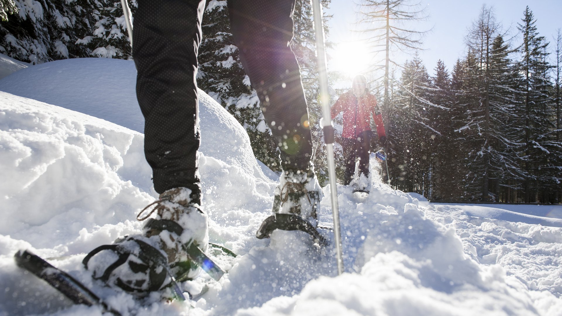 Deine Unterkunft in St. Christina im Grödnertal: Willkommen! Personen beim Schneeschuhwandern in verschneitem Wald bei Sonnenschein